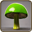 Nutritious Mushroom